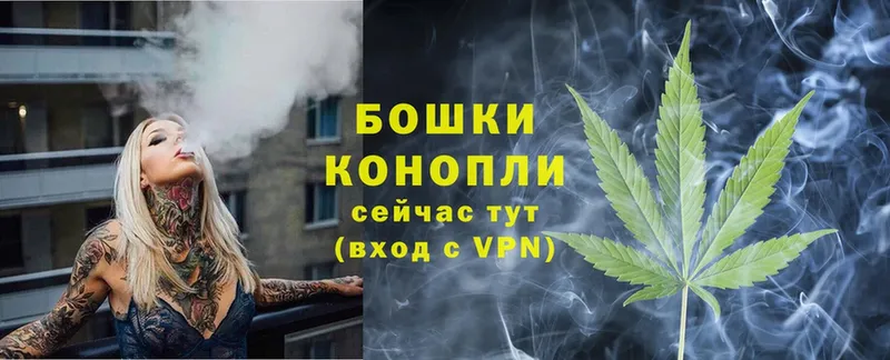 мега онион  Жирновск  МАРИХУАНА White Widow 